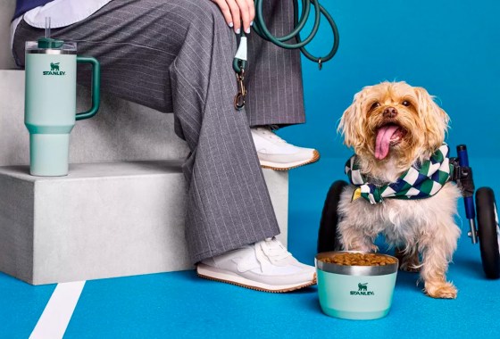 Target’s new ‘Cuddle Collab’ has matching Stanley cups for your pet