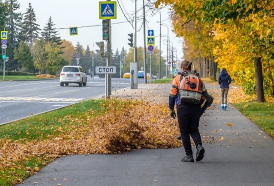 How to choose the right backpack leaf blower