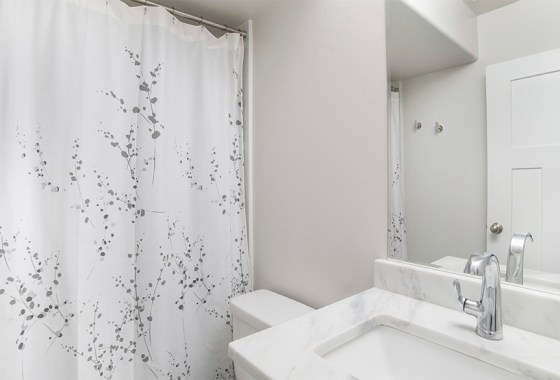 Best winter shower curtain