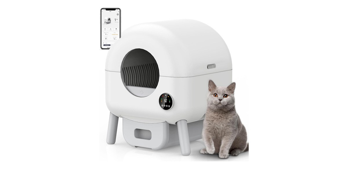 Self Cleaning Litter Box