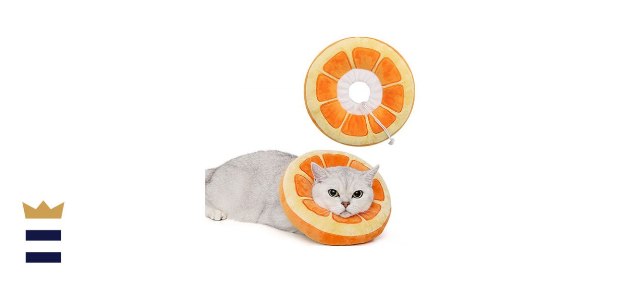 ANWA Adjustable Recovery Cone for Cats with Adjustable Collar