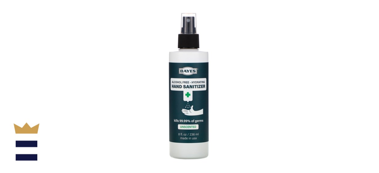 Bayes Alcohol Free Spray Hand Sanitizer