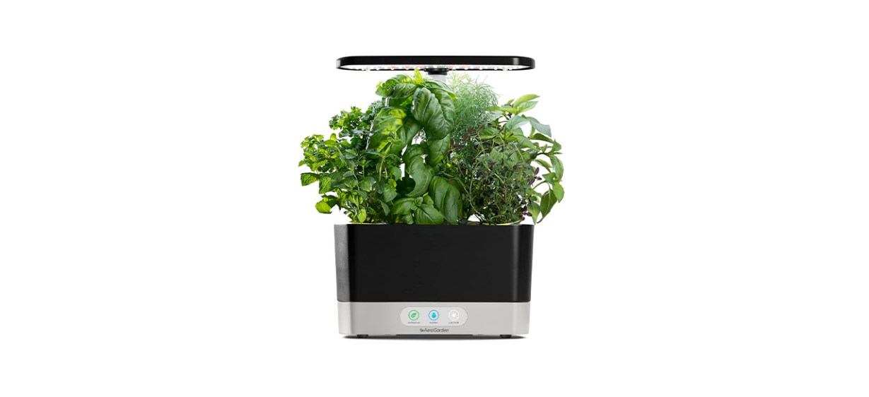 Best AeroGarden Harvest Indoor Garden with Gourmet Herb Seed Pod Kit Best AeroGarden Harvest Indoor Garden with Gourmet Herb Seed Pod Kit