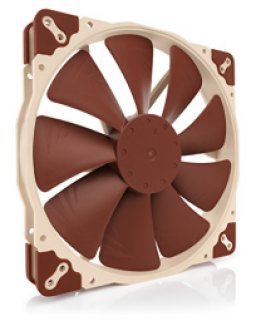 Noctua