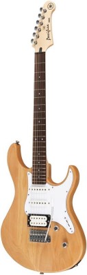 Best Electric Guitars