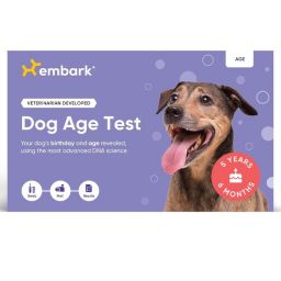 Embark