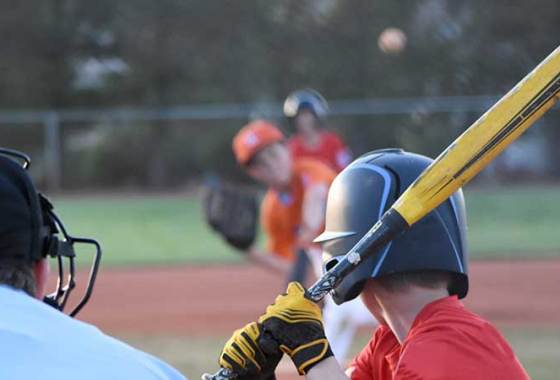 Best Baseball Bats