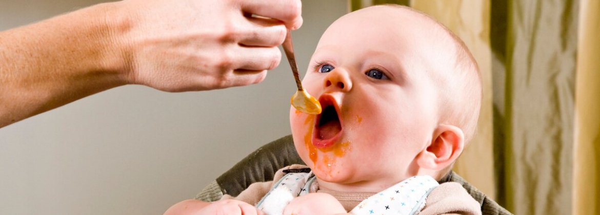 5 Best Baby-Food Makers