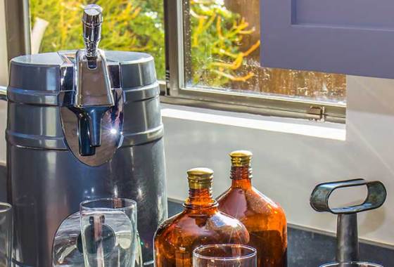 Best Mini Kegerators