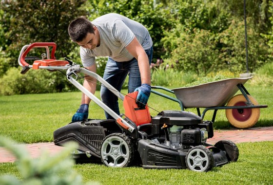 Best Lawn Mowers