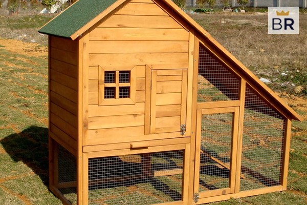 The Best Chicken Coop and Accessories of 2024