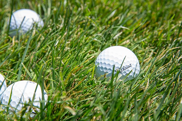 Titleist Logo Golf Balls