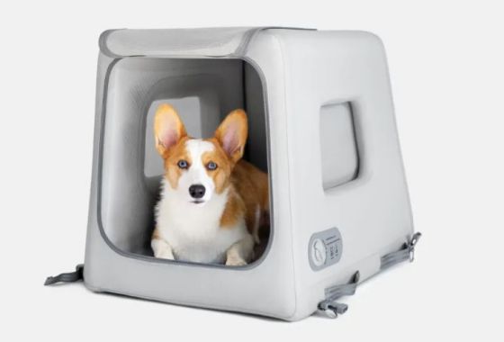 This inflatable dog crate makes traveling with pets so much easier