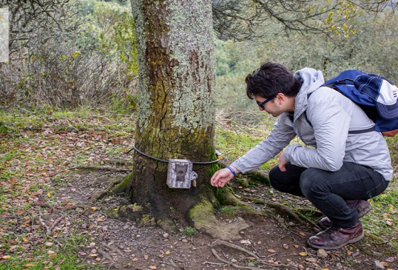 Everything you need to get started geocaching