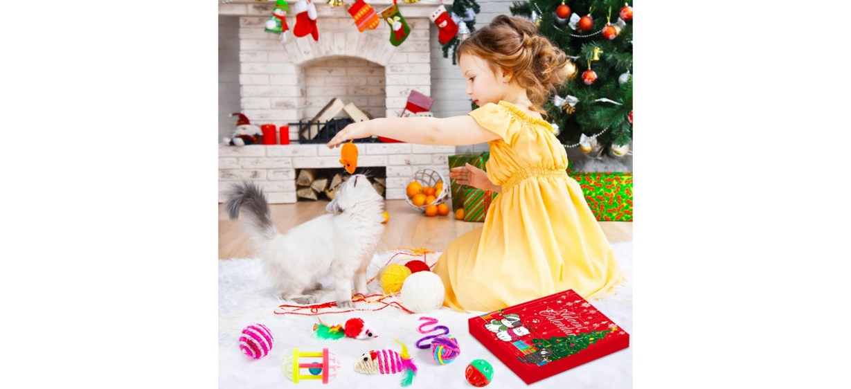 Best Larchio Cat Advent Calendar 2023