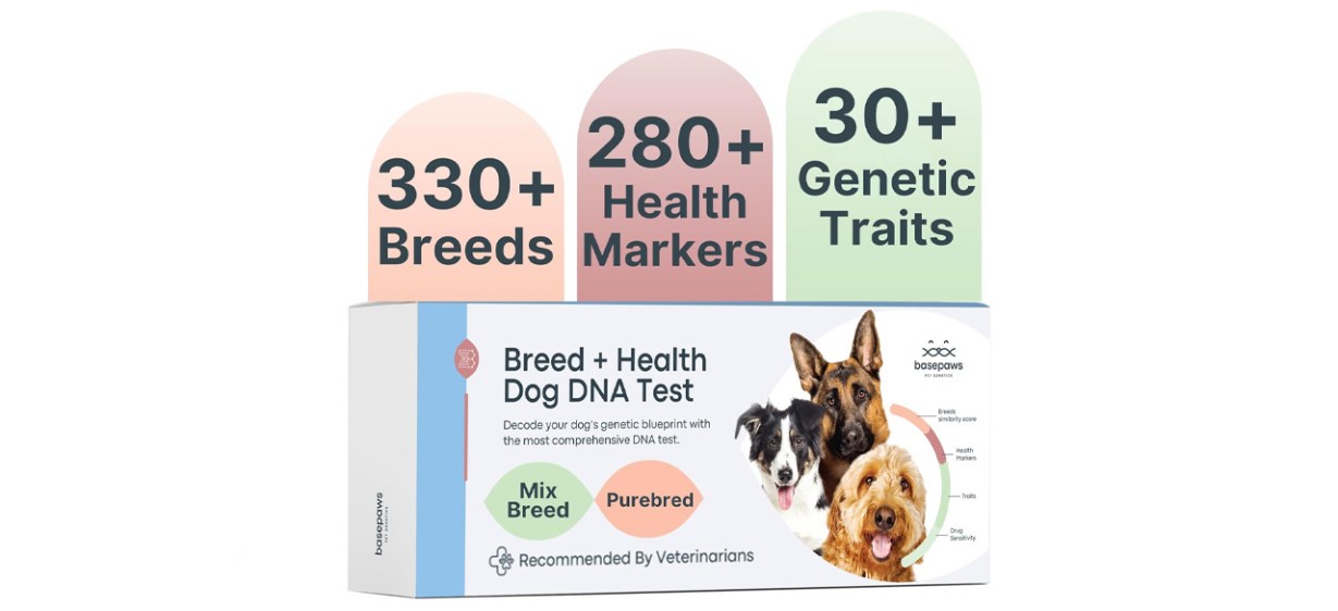 Basepaws Dog DNA Testing Kit