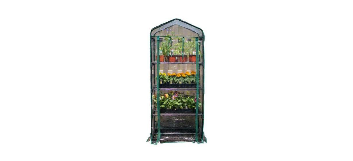 Best Gardman 4-Tier Mini Greenhouse