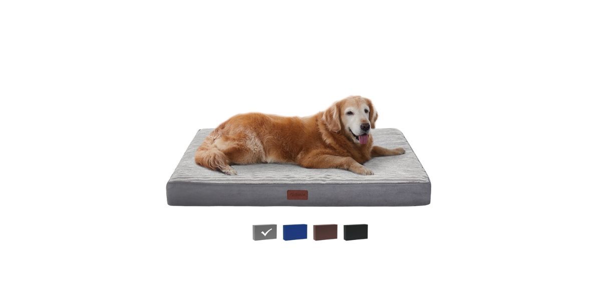 Ophanie 35in Gray Orthopedic Dog Bed