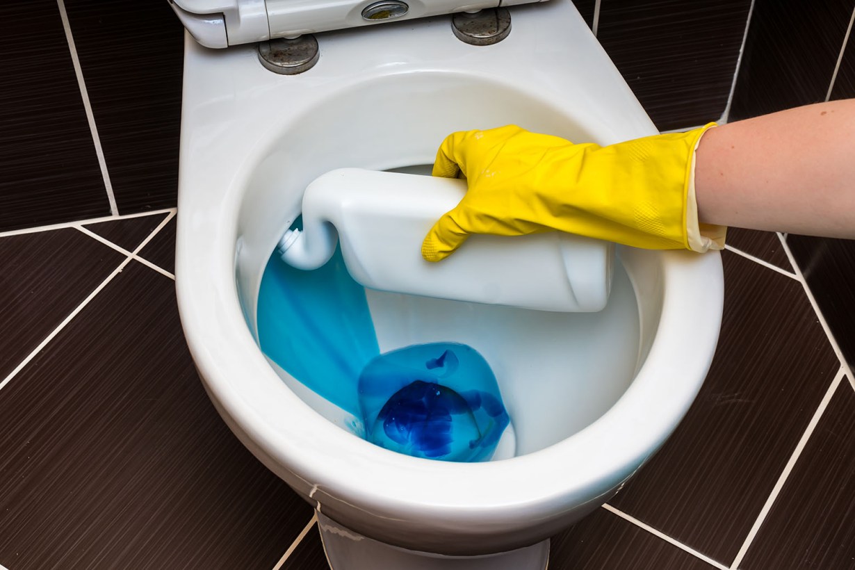 5 Best Toilet Bowl Cleaners - Nov. 2024 - BestReviews