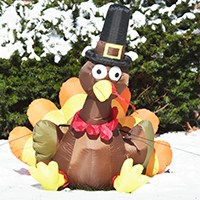 Inflatable turkey in front yard