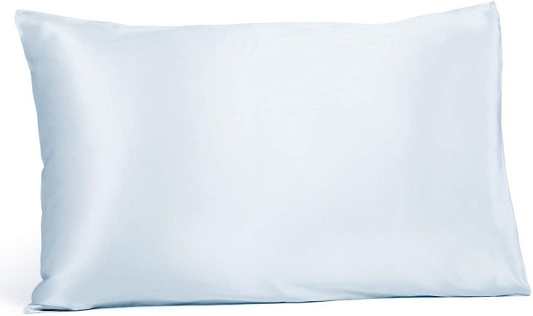 Fishers Finery 25mm 100% Pure Mulberry Silk Pillowcase