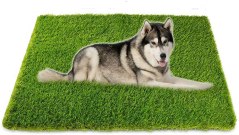 CooZero Professional Dog Grass Mat