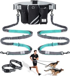 SHINE HAI Retractable Double Leash