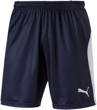 PUMA Men's Liga Shorts
