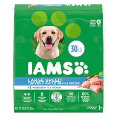 Iams ProActive Health – Large Breed