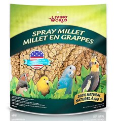 Living World Spray Millet